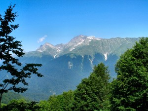 Альпийские луга
